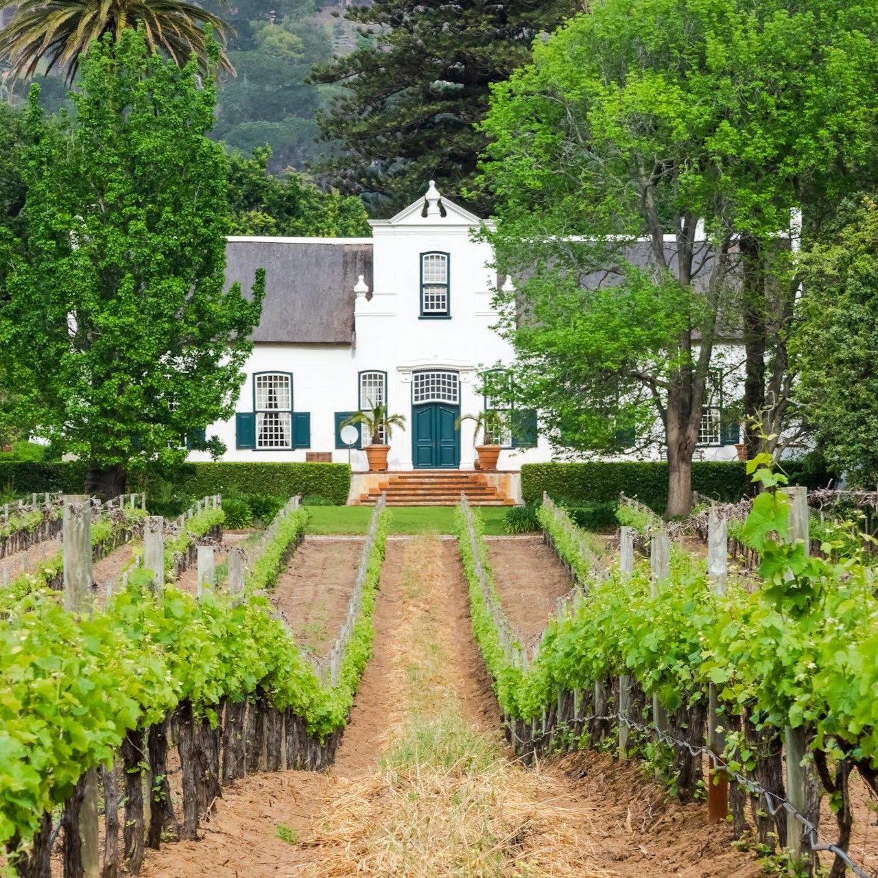 Private Winelands & Stellenbosch Tour